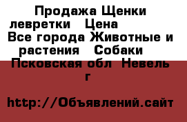 Продажа Щенки левретки › Цена ­ 40 000 - Все города Животные и растения » Собаки   . Псковская обл.,Невель г.